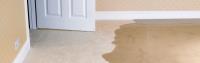 Water Damage Carpet Drying Melbourne image 2